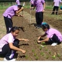 โครงงาน เรียนรู้สมุนไพร สู่ชีวิตพอเพียง